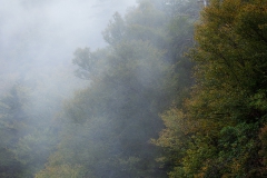初秋の霧