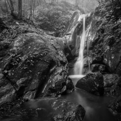 【幻の滝】 市兵衛沢 1030m 2020.7.11