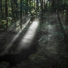【真夏の冷風】 青木ヶ原樹海 富士風穴　 標高 1100m